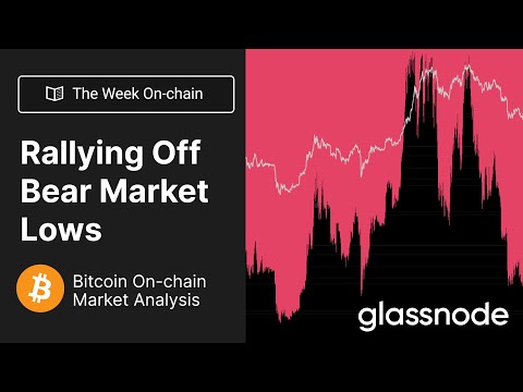 The Week On-chain: Rallying Off the Bear Market Lows